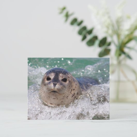 Ein Babysurfing im Siegel Postkarte (Stehend Vorderseite)