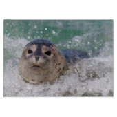 Ein Babysurfing im Siegel Schneidebrett (Vorderseite)