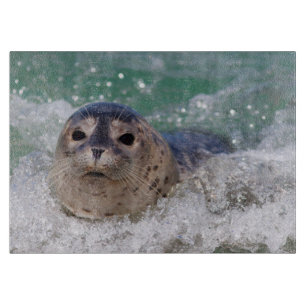 Ein Babysurfing im Siegel Schneidebrett