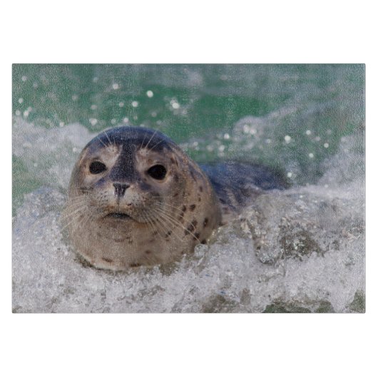 Ein Babysurfing im Siegel Schneidebrett (Vorderseite)