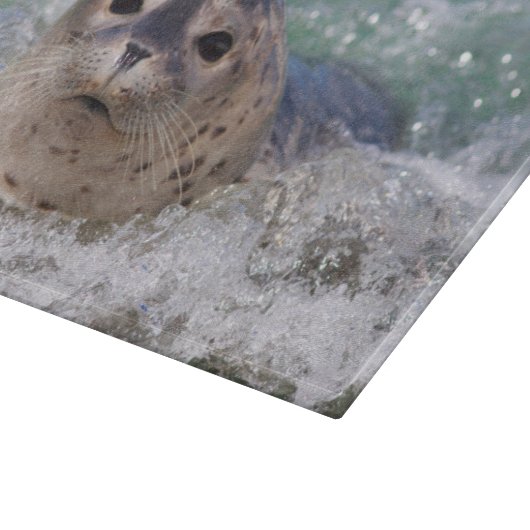 Ein Babysurfing im Siegel Schneidebrett (Ecke)