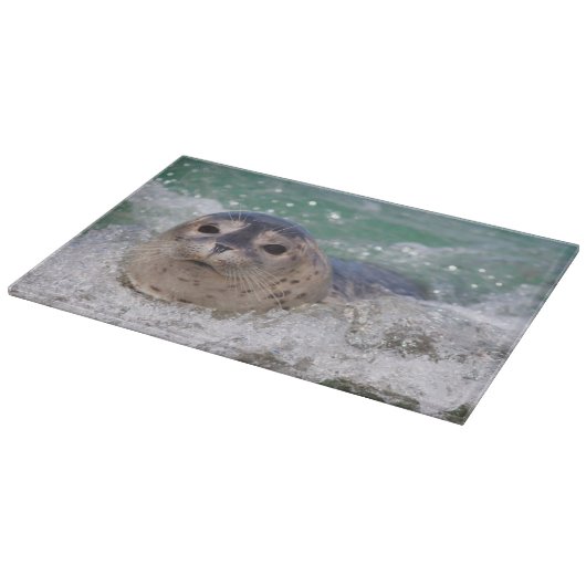 Ein Babysurfing im Siegel Schneidebrett (Ecke)