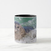 Ein Babysurfing im Siegel Tasse (Zentrum)