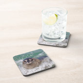 Ein Babysurfing im Siegel Untersetzer (Rechte Seite)