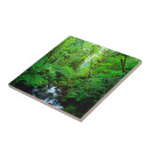 Ein Bach in einem Urwald Fliese (Seite)