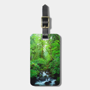 Ein Bach in einem Urwald Gepäckanhänger