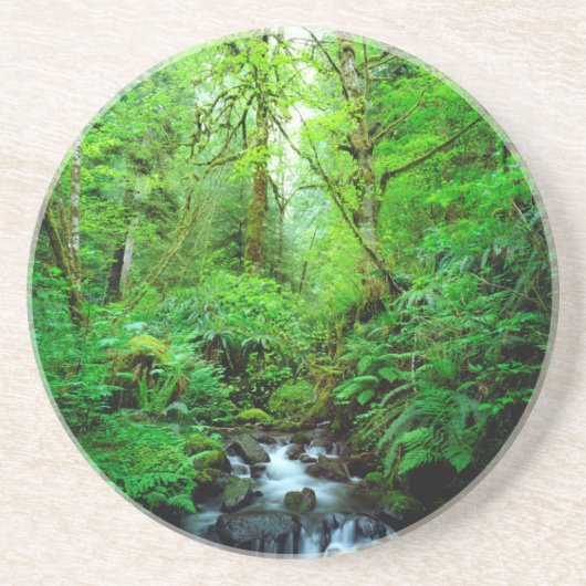 Ein Bach in einem Urwald Getränkeuntersetzer (Vorne)