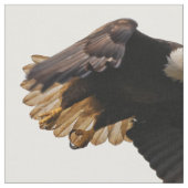 Ein Bald-Adler geht zum Himmel Stoff (Nahaufnahme)