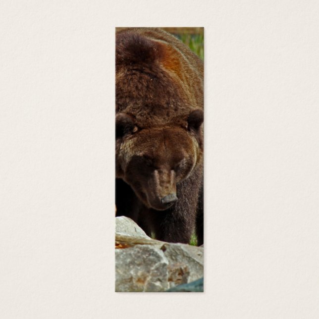 Ein Bär eines Lesezeichens (Vorderseite)