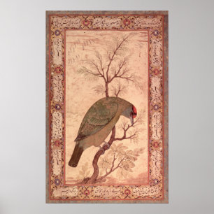 Ein Barbet Jahangir Zeitraum, Mughal, 1615 Poster
