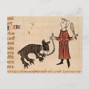 Ein Bärenhalter aus dem "Decrets de Gratien" Postkarte