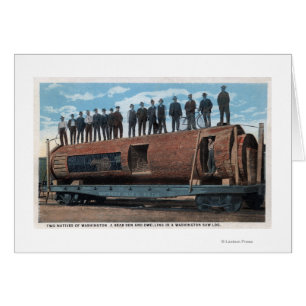 Ein Bärenkäfig und Wohnort in einem riesigen Sägep