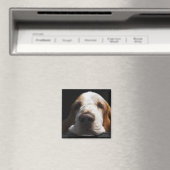 Ein Basset Hound ruht sich den Kopf Magnet (In Situ (Geschirrspüler))