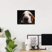 Ein Basset Hound ruht sich den Kopf Poster (Heimbüro)