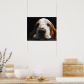 Ein Basset Hound ruht sich den Kopf Poster (Küche)