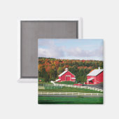 Ein Bauernhof in Vermont bei Peacham. VERÖFFENTLIC Magnet (Vorderseite/Rückseite)