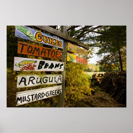 Ein Bauernstand in Holderness, New Hampshire. Poster (Vorne)