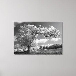 Ein Baum bläst im Wind Leinwanddruck
