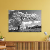 Ein Baum bläst im Wind Leinwanddruck (Insitu (Wohnzimmer))