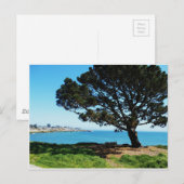 Ein Baum für alle Jahreszeiten Postkarte (Vorne/Hinten)