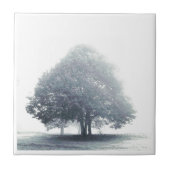 Ein Baum im Nebel Fliese (Vorderseite)