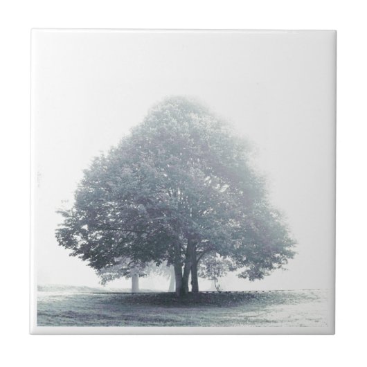 Ein Baum im Nebel Fliese (Vorderseite)