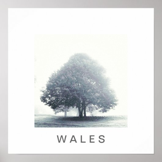 Ein Baum im Nebel Poster (Vorne)