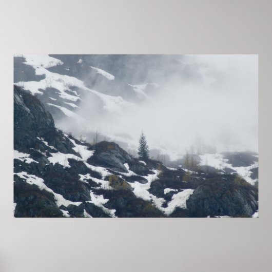 Ein Baum im Nebel Poster (Vorne)