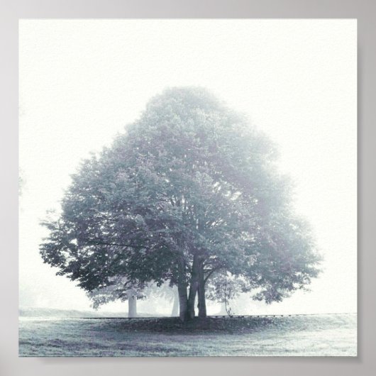 Ein Baum im Nebel Poster (Vorne)