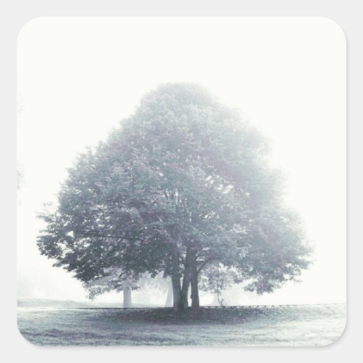 Ein Baum im Nebel Quadratischer Aufkleber (Vorderseite)
