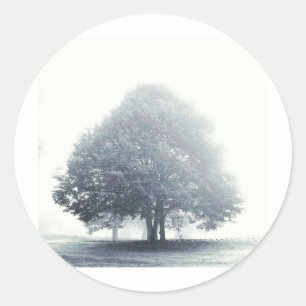 Ein Baum im Nebel Runder Aufkleber