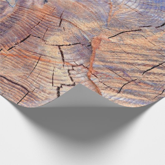 Ein Baum im Schnitt. Holz im Wald. Textur Geschenkpapier (Ecke)