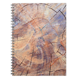Ein Baum im Schnitt. Holz im Wald. Textur Notizblock