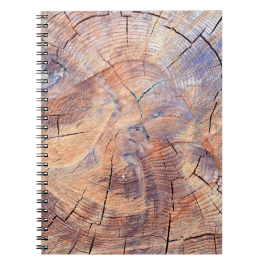 Ein Baum im Schnitt. Holz im Wald. Textur Notizblock (Vorderseite)