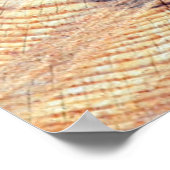 Ein Baum im Schnitt. Holz im Wald. Textur Poster (Ecke)