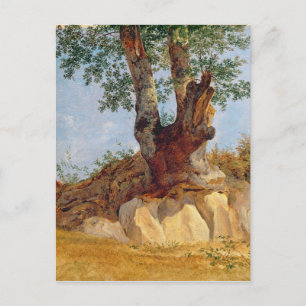 Ein Baum in Campagna, 1822-23 Postkarte