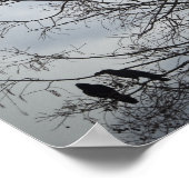 Ein Baum, in dem viele Krähen Erholung haben Poster (Ecke)