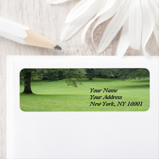 Ein Baum in einem Feld der Grünen (Insitu)