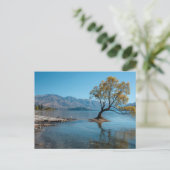 Ein Baum in einem See Postkarte (Stehend Vorderseite)