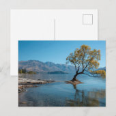 Ein Baum in einem See Postkarte (Vorne/Hinten)
