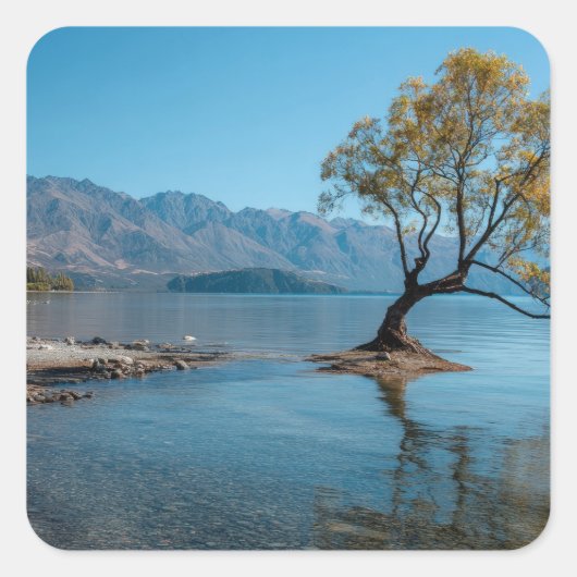 Ein Baum in einem See Quadratischer Aufkleber (Vorderseite)