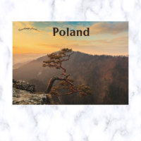 Ein Baum in Pieniny Polen