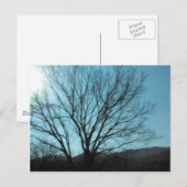 Ein Baum Postkarte (Vorne/Hinten)
