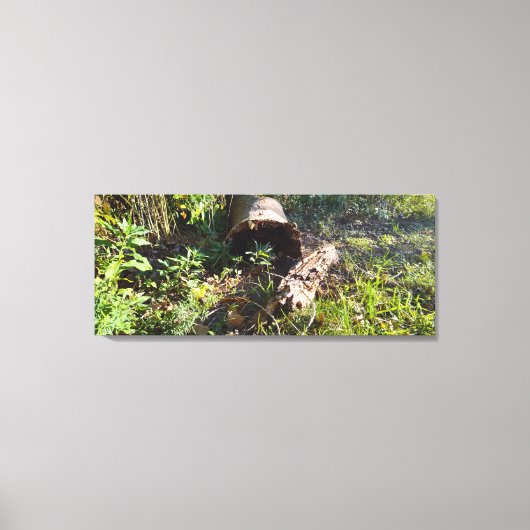 Ein Baumprotokoll wurde vergessen Leinwanddruck (Vorderseite)