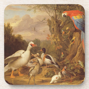 Ein Becken, Enten, Papageien und andere Vögel in Untersetzer
