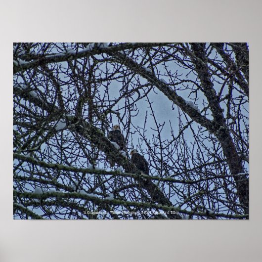 Ein Begleiter für den Winter Poster (Vorne)