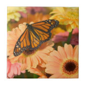 Ein beklagender Schmetterling Fliese (Vorderseite)