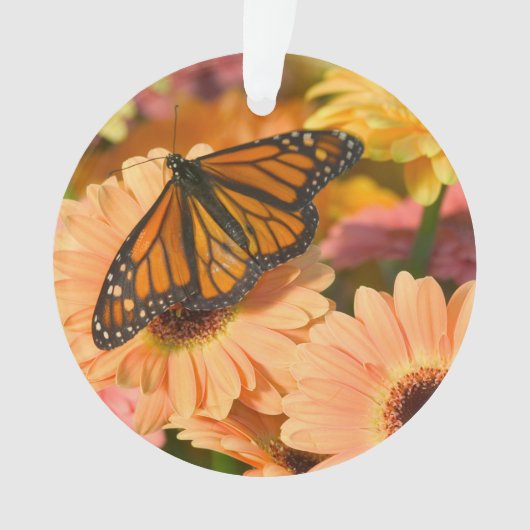Ein beklagender Schmetterling Ornament (Vorderseite)