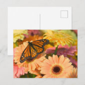Ein beklagender Schmetterling Postkarte (Vorne/Hinten)