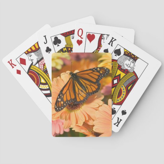 Ein beklagender Schmetterling Spielkarten (Rückseite)
